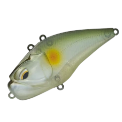 Giganoto -go fishing GIGANOTO5