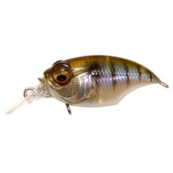 Megabass Griffon SR-X BFS -go fishing GRIFFONSR X BFS GILLKKO