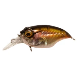 Megabass Griffon SR-X BFS -go fishing GRIFFONSR X BFS GPKAWAMUTSU