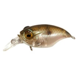 Megabass Griffon SR-X BFS -go fishing GRIFFONSR X BFS MBGIZZARD