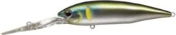 Gold Digger 600 17 Gold Digger 600 -go fishing Golddigger258ReservoirAyu