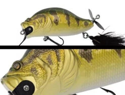 Zacrawl SC -go fishing Goldpeacockbass