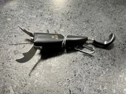 Sasori 15 Sasori -go fishing IMG 11592