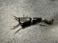 Sasori 17 Sasori -go fishing IMG 1161