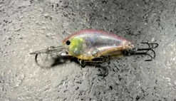 Lucky Craft LC DD Crankbaits 12 Lucky Craft LC DD Crankbaits -go fishing IMG 1258