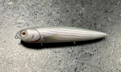 Kicknocker 10th Anniversary Limited Edition -go fishing IMG 32742