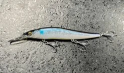 Megabass Ito Vision 110+1 SW -go fishing IMG 3901