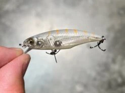 Megabass Great Hunting World Spec 5 Megabass Great Hunting World Spec -go fishing IMG 4855