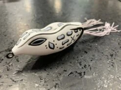 NF 60 -go fishing IMG 4924