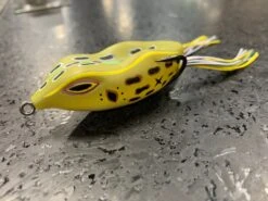 NF 60 -go fishing IMG 4925