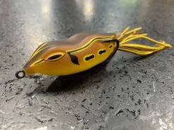 NF 60 -go fishing IMG 4926