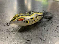 NF 60 -go fishing IMG 4927