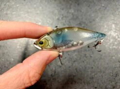 Lucky Craft LV500 FT