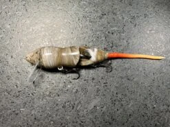 PB Rat 2 Piece -go fishing IMG 6712