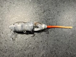 PB Rat 2 Piece -go fishing IMG 6714