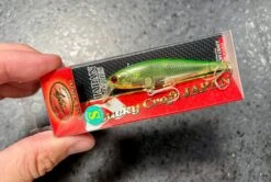 Lucky Craft B'Freeze 65SB-S -go fishing IMG 6857