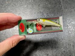 Lucky Craft Bevy Shad Floating -go fishing IMG 6880