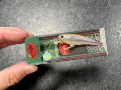 Lucky Craft Bevy Shad Floating -go fishing IMG 6881