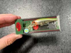 Lucky Craft Bevy Shad Floating -go fishing IMG 6882