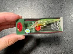 Lucky Craft Bevy Shad Floating -go fishing IMG 6883