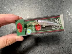 Lucky Craft Bevy Shad Floating -go fishing IMG 6884