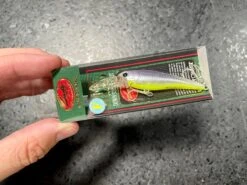 Lucky Craft Bevy Shad Floating -go fishing IMG 6885