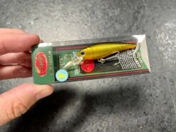 Lucky Craft Bevy Shad Floating -go fishing IMG 6886