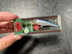 Lucky Craft Bevy Shad Floating -go fishing IMG 6887