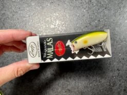 Lucky Craft Malas -go fishing IMG 6890