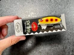 Lucky Craft Malas -go fishing IMG 6895