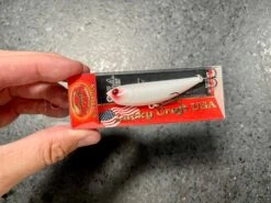 Lucky Craft Sammy 65 -go fishing IMG 6902