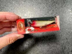 Lucky Craft Sammy 65 -go fishing IMG 6905