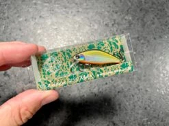 Ima Issen 45S Max -go fishing IMG 6908