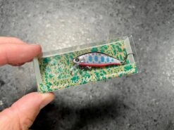 Ima Issen 45S Max -go fishing IMG 6911