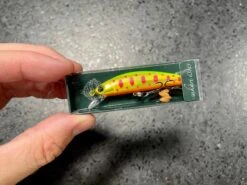 Ima Sukari 63HS -go fishing IMG 6918