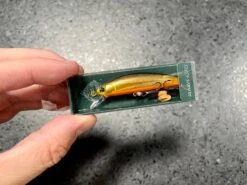 Ima Sukari 63HS -go fishing IMG 6919