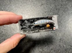 Ima Sukari 50SS -go fishing IMG 6920