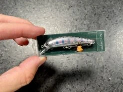 Ima Sukari 63HS -go fishing IMG 6922