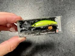 Ima Sukari 50SS -go fishing IMG 6924