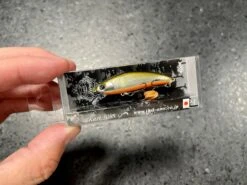 Ima Sukari 50SS -go fishing IMG 6925