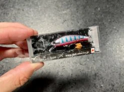 Ima Sukari 50SS -go fishing IMG 6926