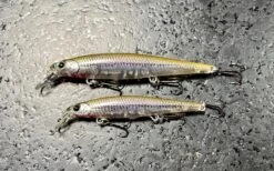 Lucky Craft Slender Pointer 82S -go fishing IMG 7068