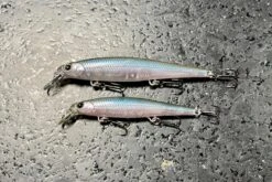 Lucky Craft Slender Pointer 82S -go fishing IMG 7069