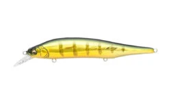 Megabass Ito Shiner -go fishing ITOSHINER GGPERCH