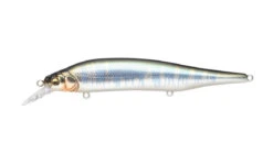 Megabass Ito Shiner -go fishing ITOSHINER WAGINHASUII