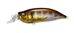 Megabass IxI Shad Type-R -go fishing IxI GG Gill