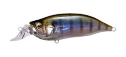 Megabass IxI Shad Type-R -go fishing IxI Gillko