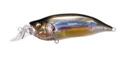 Megabass IxI Shad Type-R -go fishing IxI kasumi ito