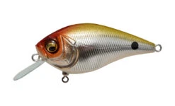 Megabass Knuckle LD -go fishing KNUCKLELD MSunshineWesternClown