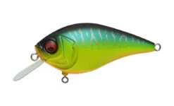 Megabass Knuckle LD -go fishing KNUCKLELD MatTiger